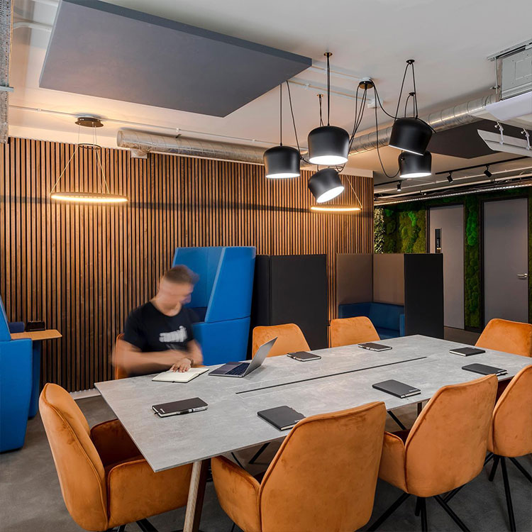Interior Design Acoustic Panel (36)