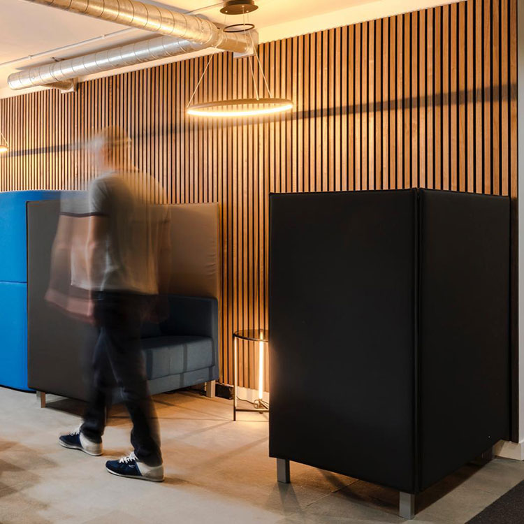 Interior Design Acoustic Panel (29)